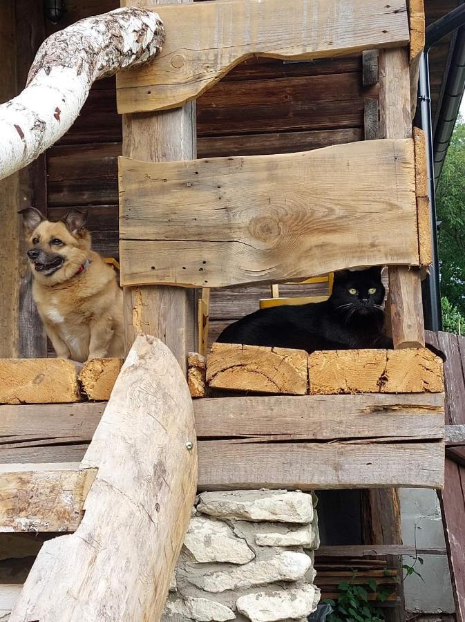 Agroturystyka Lipowewzgorze Domek Antek Tereszpol Esterno foto